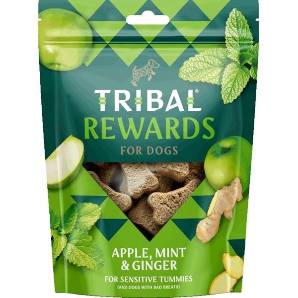 Tribal Snack Apple, Mint&Ginger 125 g